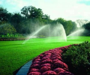 Irrigation-3